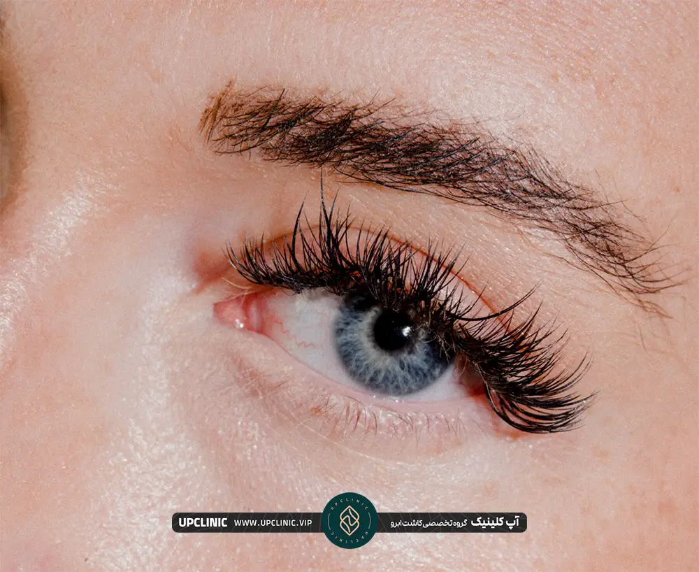 ابروهای سیخ شده