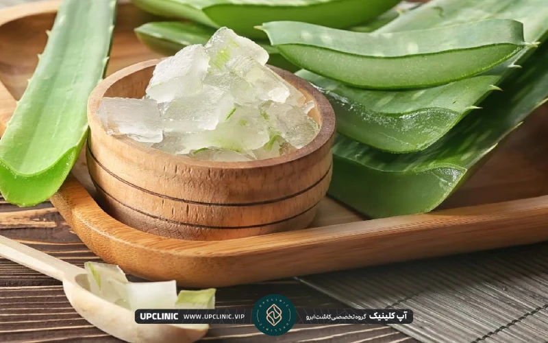 ظرفی حاوی ژل آلوئه ورا | پرپشت کردن ابرو